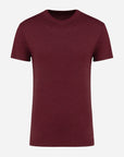 Bio IC T-Shirt